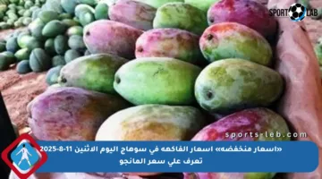 «أسعار منخفضة» أسعار الفاكهة في سوهاج اليوم الإثنين 11-8-2025 تعرف على سعر المانجو